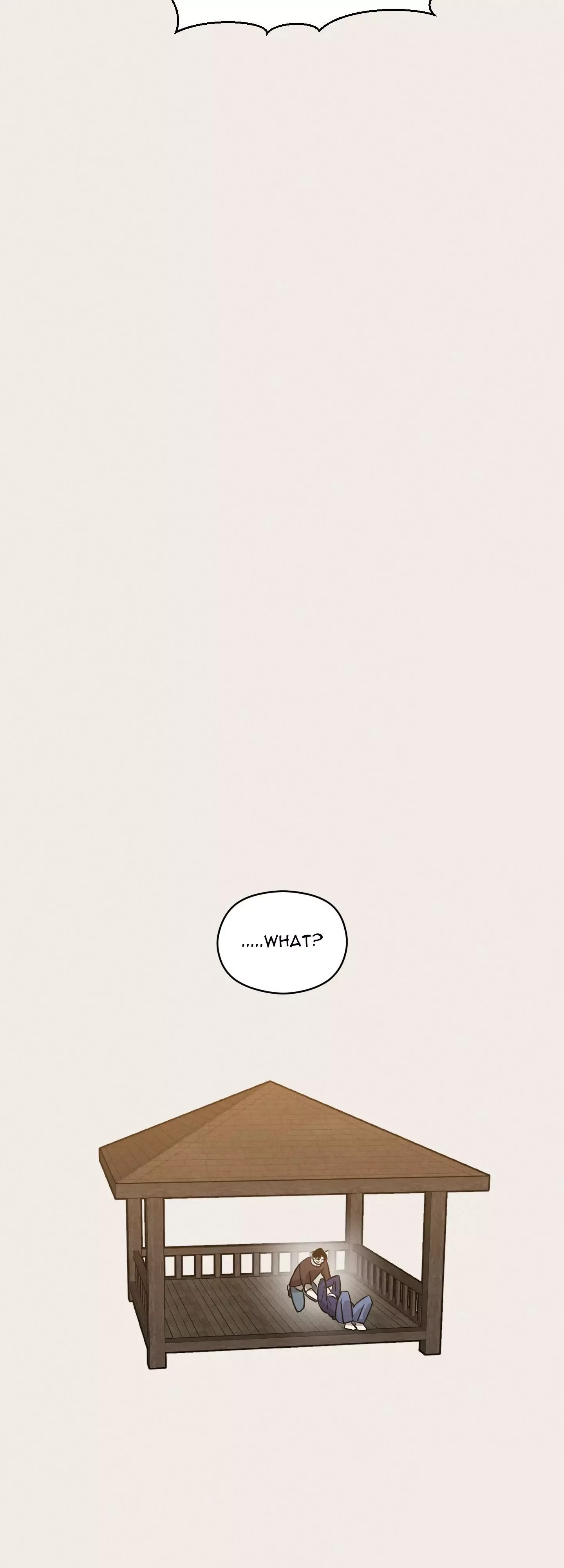 1995 Youth Report Chapter 13 page 51