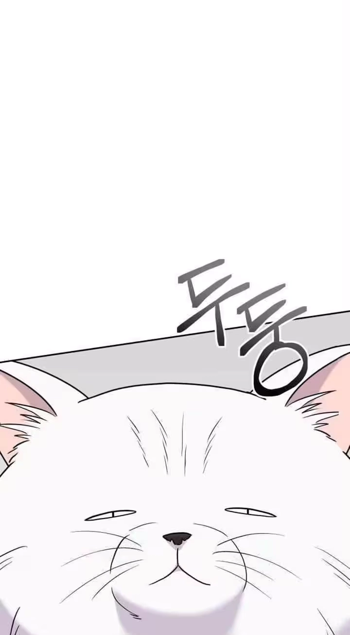 24 Hour Handsome Man Chapter 12 page 37