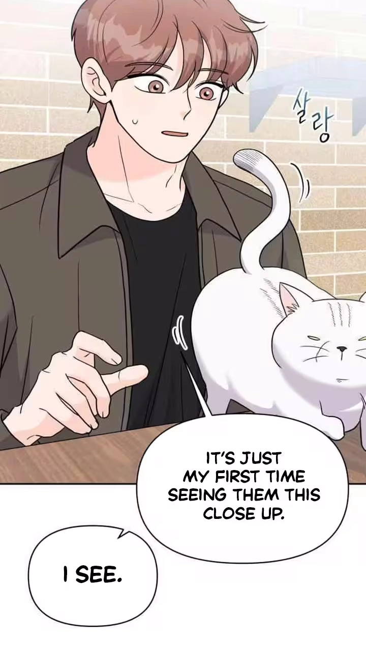 24 Hour Handsome Man Chapter 12 page 41