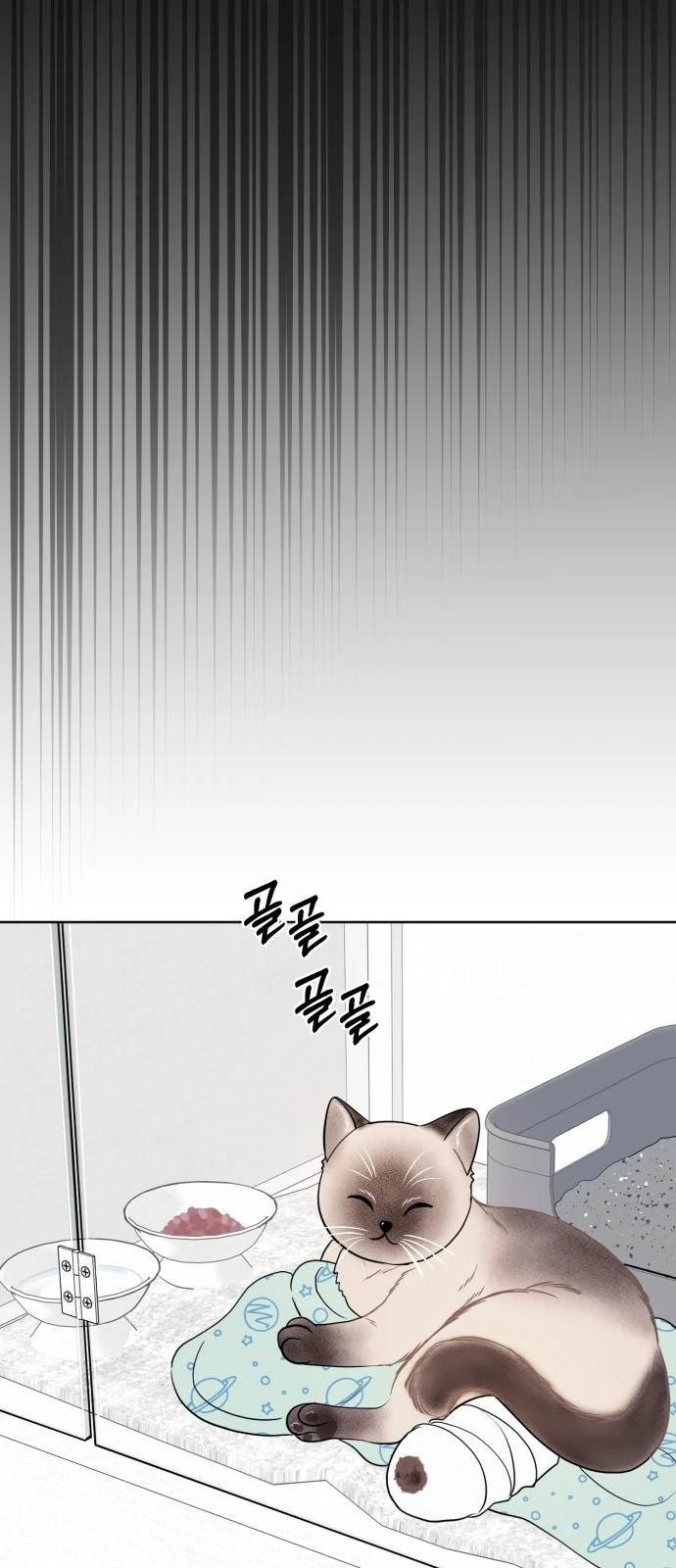 3 Servings Chapter 8 page 56