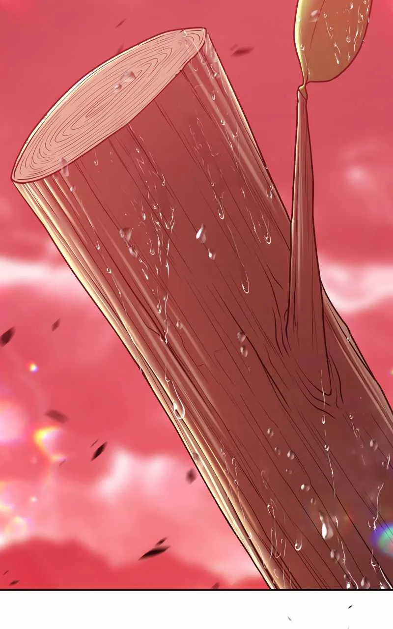 +99 Wooden stick Chapter 80 page 243