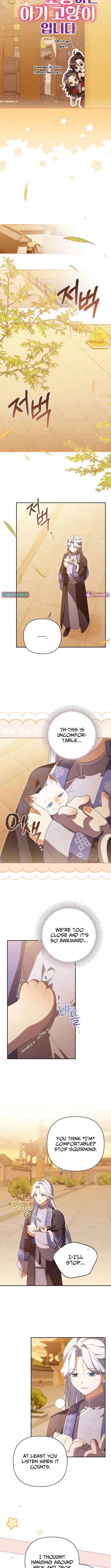A Baby Cat Who Commands the Dog Clan Chapter 23 page 7