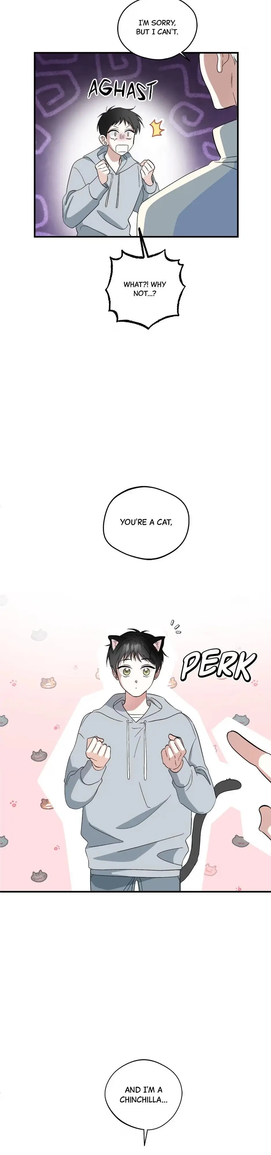 A Cat Can Even Love a Rat Chapter 1 page 3