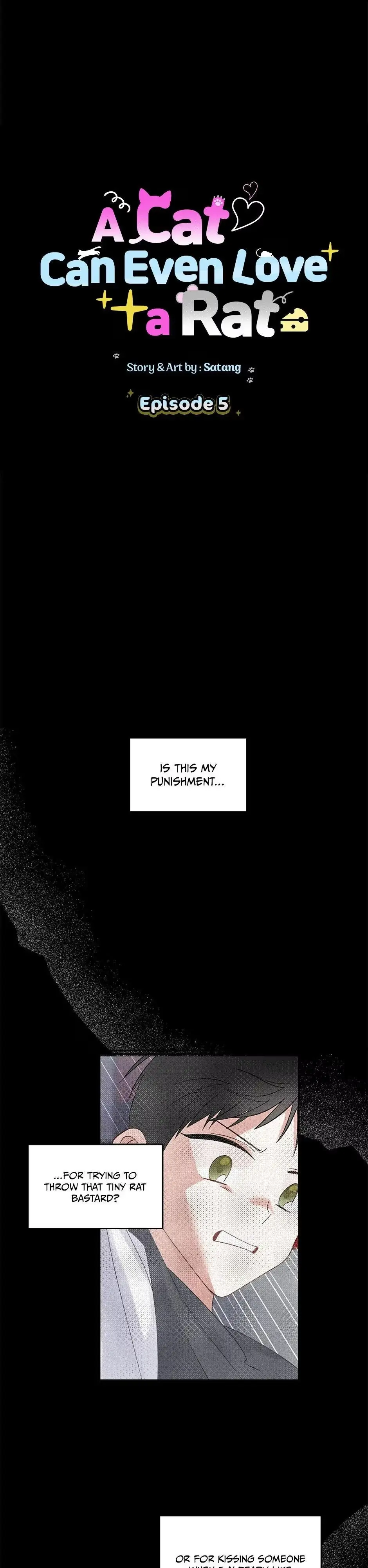 A Cat Can Even Love a Rat Chapter 5 page 1
