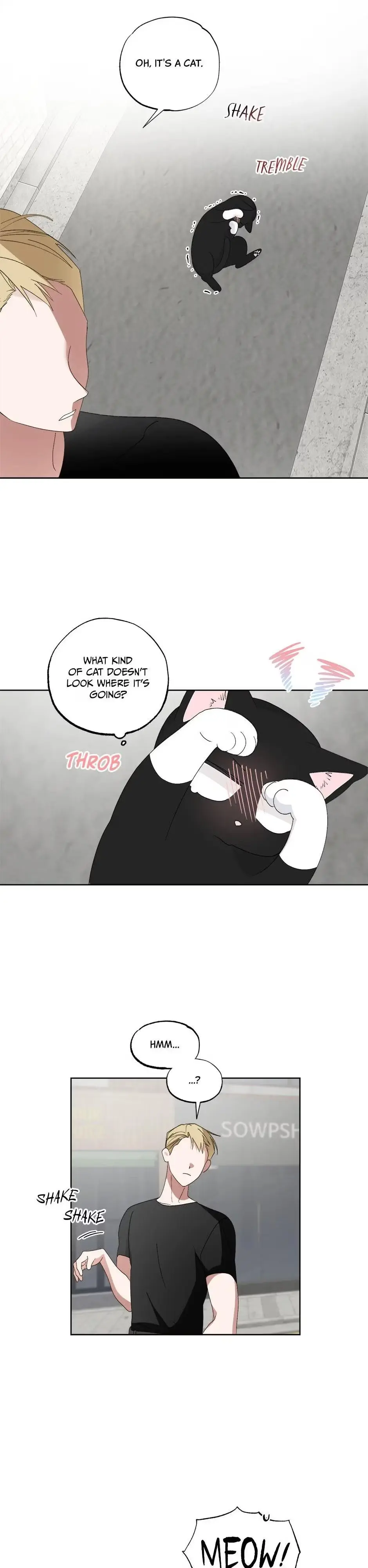 A Cat Can Even Love a Rat Chapter 6 page 15