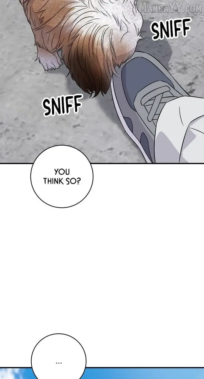 A Deadbeat’s Meal Chapter 197 page 52