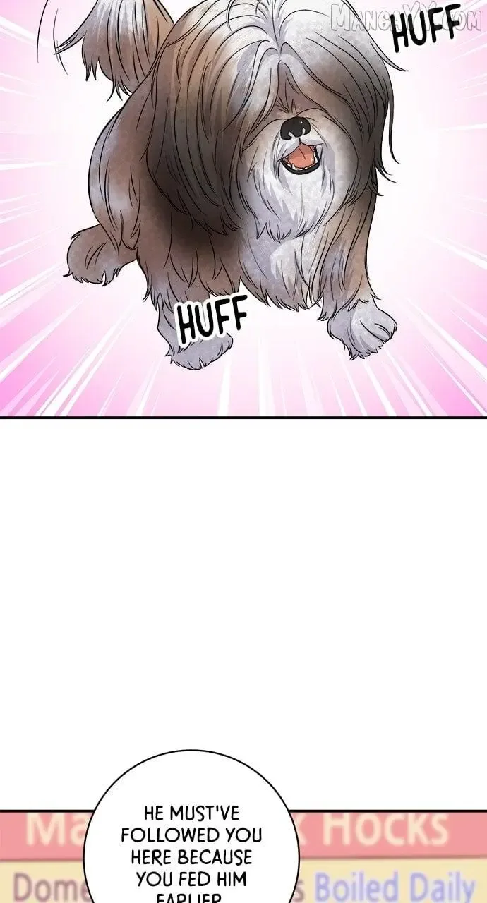 A Deadbeat’s Meal Chapter 197 page 71
