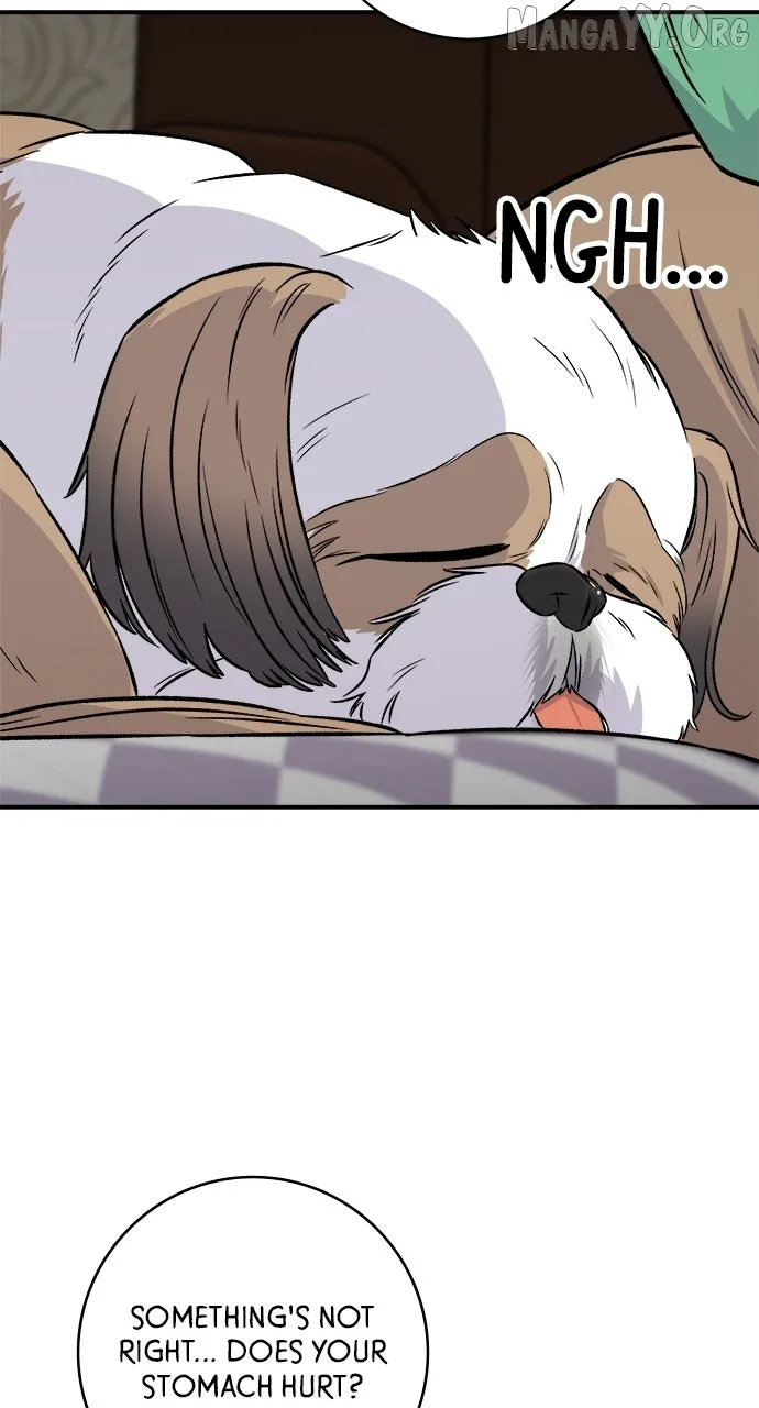 A Deadbeat’s Meal Chapter 204 page 10