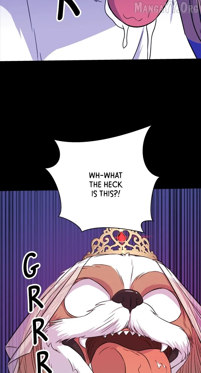 A Deadbeat’s Meal Chapter 211 page 19