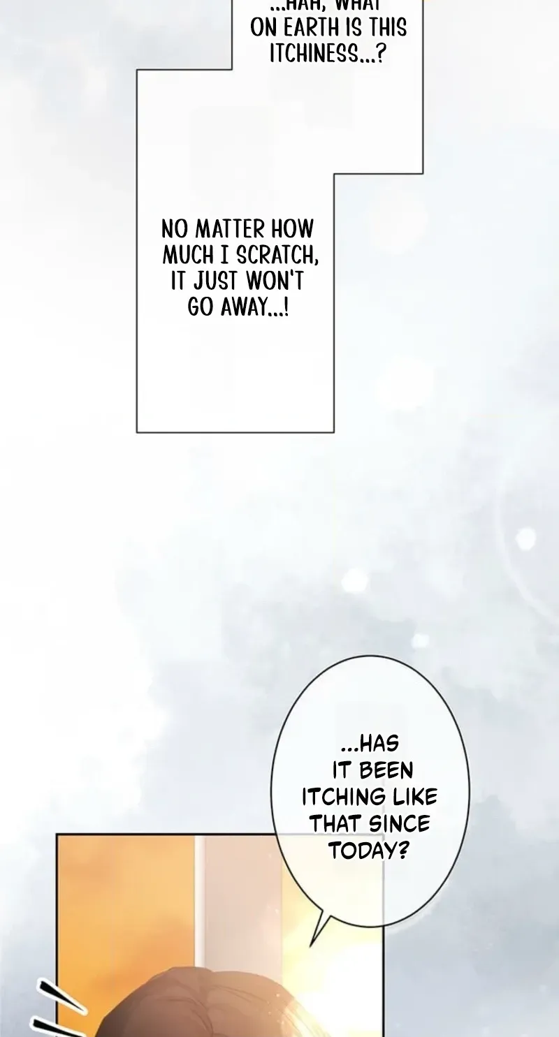A Farewell Revenge for My Beloved Chapter 13 page 84