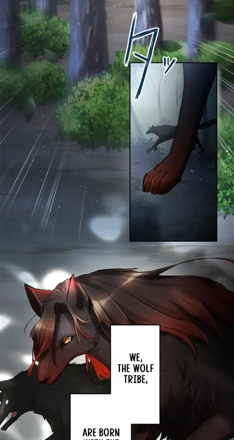 A Farewell Revenge for My Beloved Chapter 9 page 17