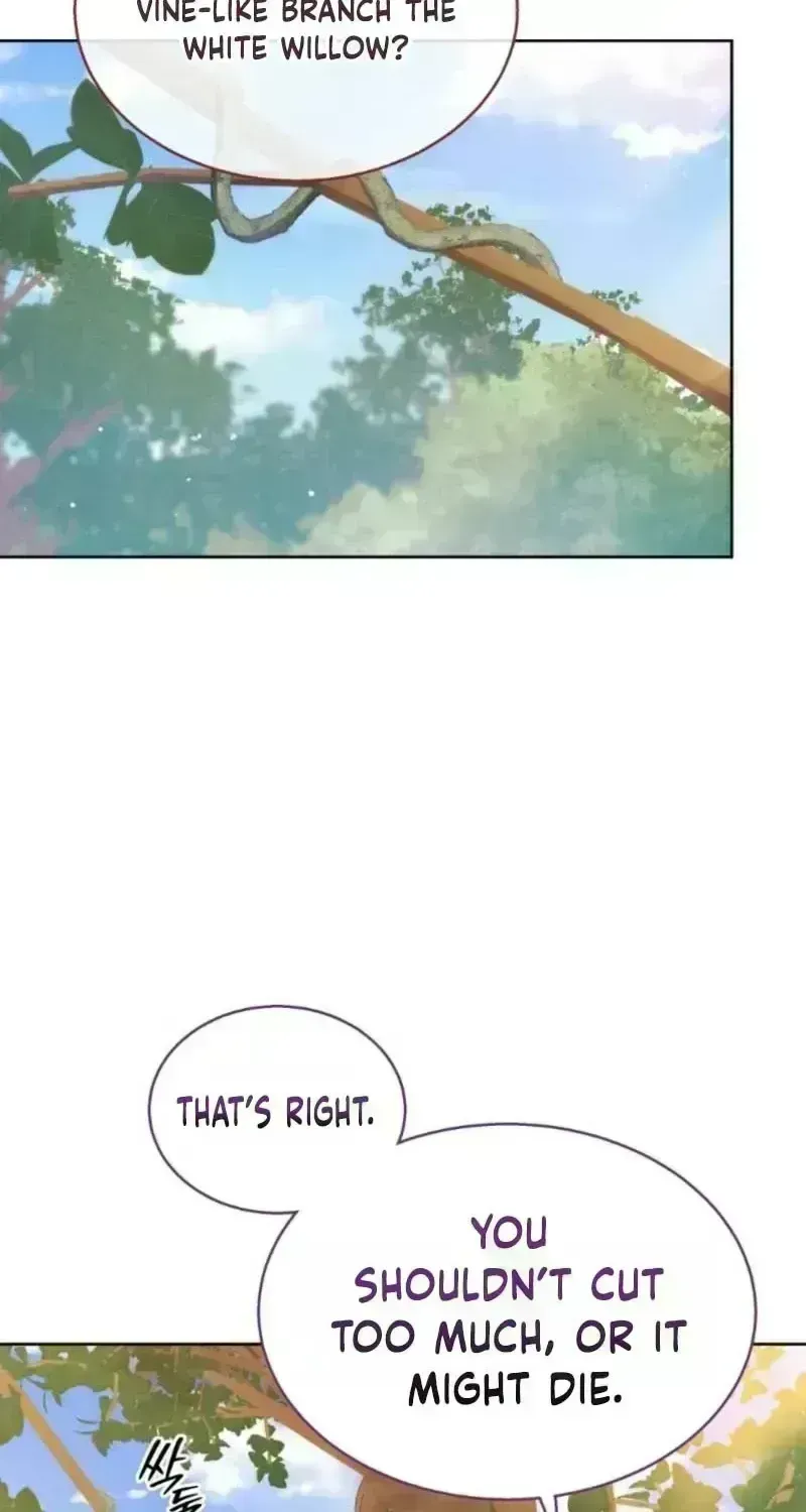 A Mouse Biting a Dragon’s Tail Chapter 100.6 page 47