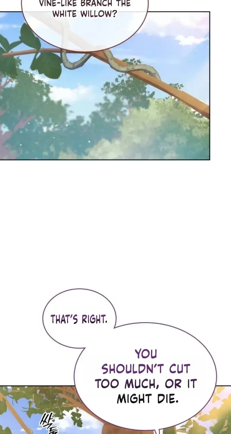 A Mouse Biting a Dragon’s Tail Chapter 97.1 page 47