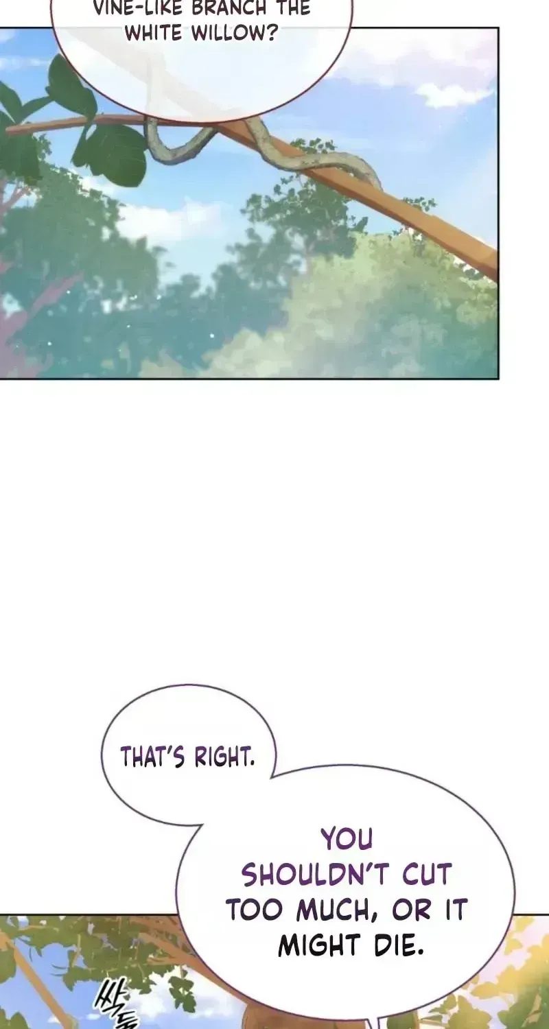 A Mouse Biting a Dragon’s Tail Chapter 98.4 page 47