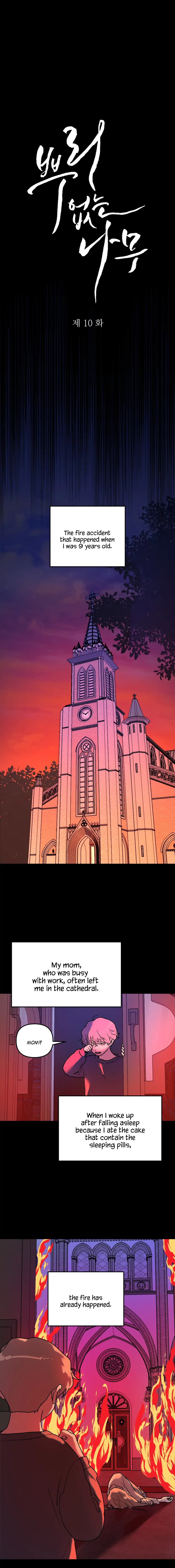 A Tree Without Roots Chapter 10 page 3