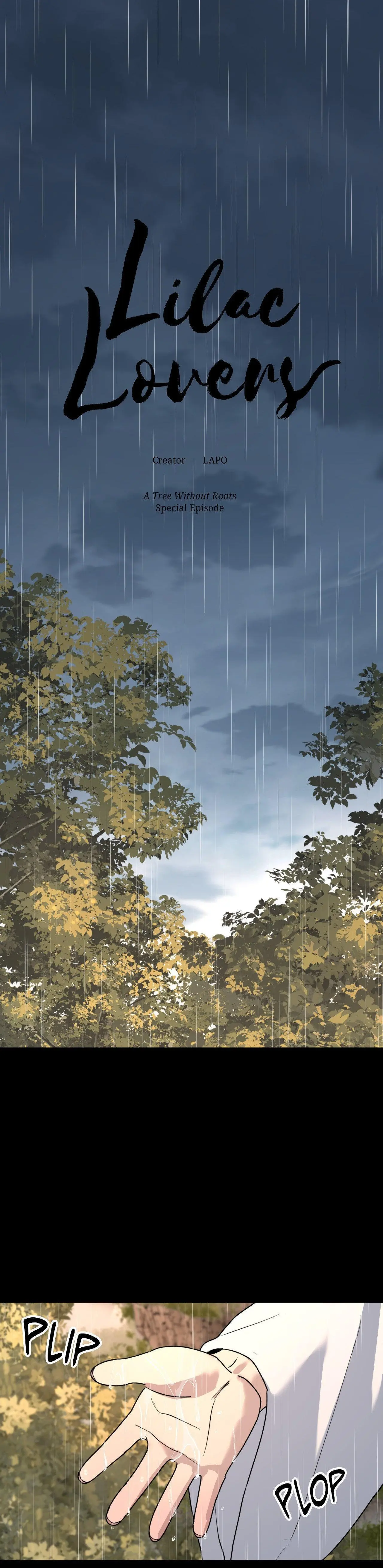 A Tree Without Roots Chapter 102 page 2