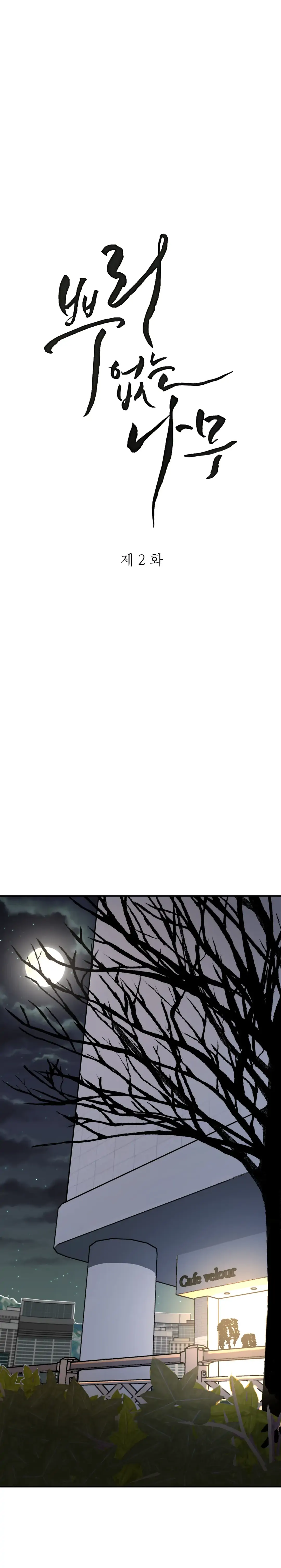 A Tree Without Roots Chapter 2 page 8