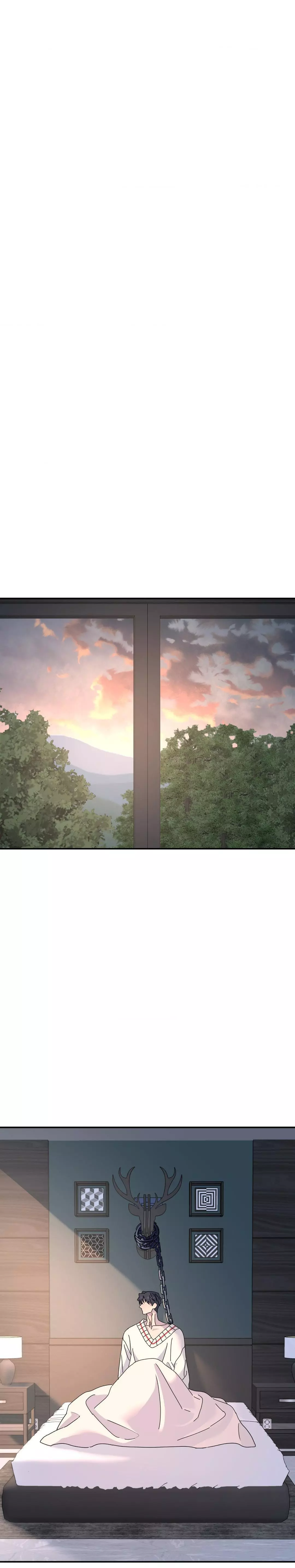 A Tree Without Roots Chapter 74 page 17