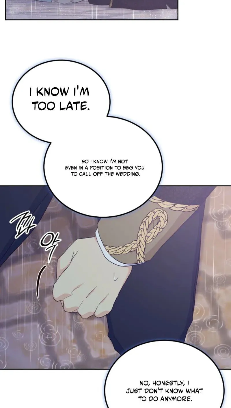 Acidity of Regret Chapter 46 page 19