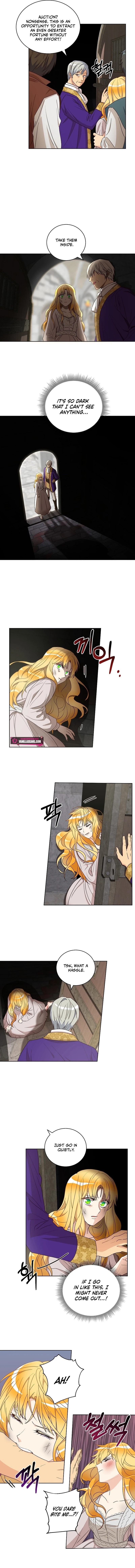Acidity of Regret Chapter 5 page 3