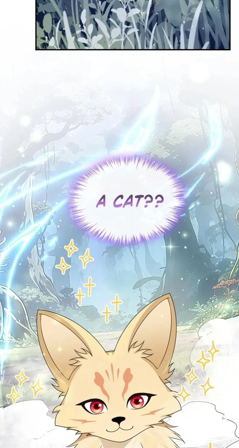 After relinquishing my talent, I became a favorite of the wizarding world Chapter 70 page 33
