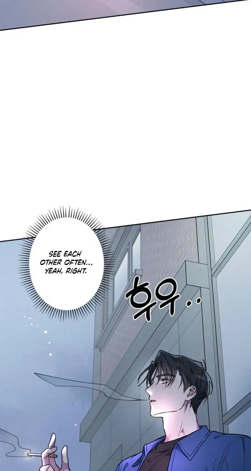 Alpine Chapter 1.1 page 41