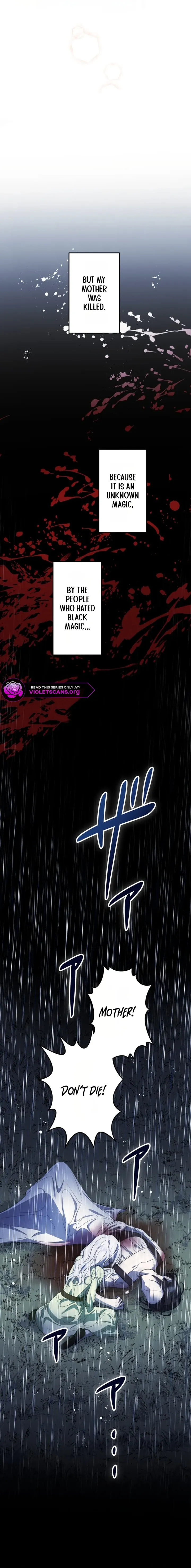 Although I Was a Condemned Witch, Everyone Dotes on Me After Regressing Chapter 2 page 11
