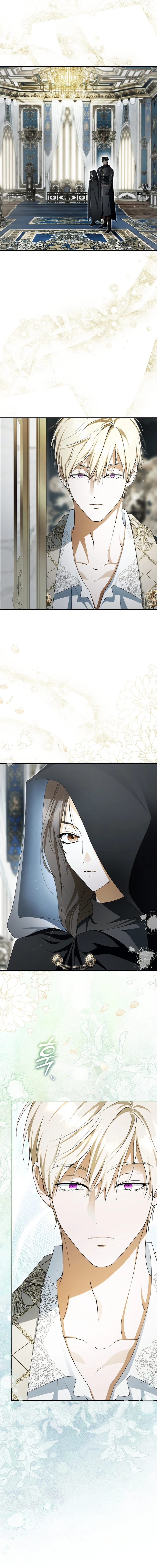 An Extra Stole the Male Leads Chapter 95 page 15