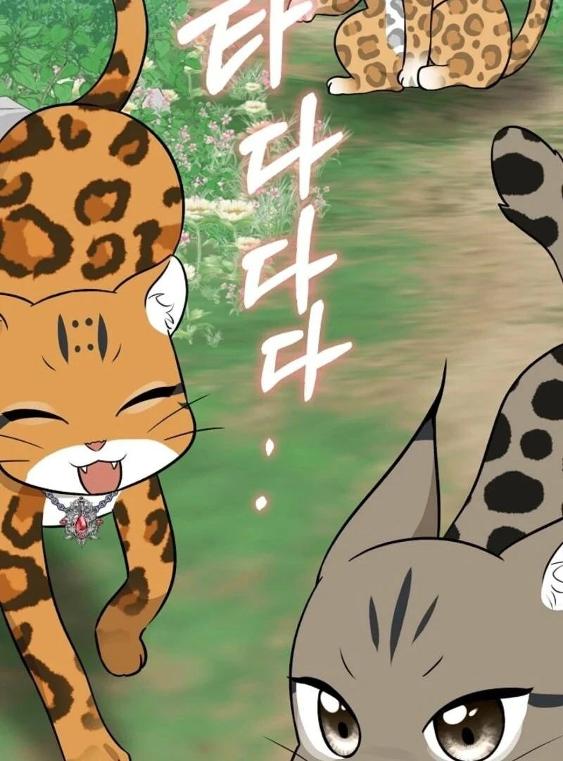 Anyone Can See It’s A Beast Chapter 30 page 154