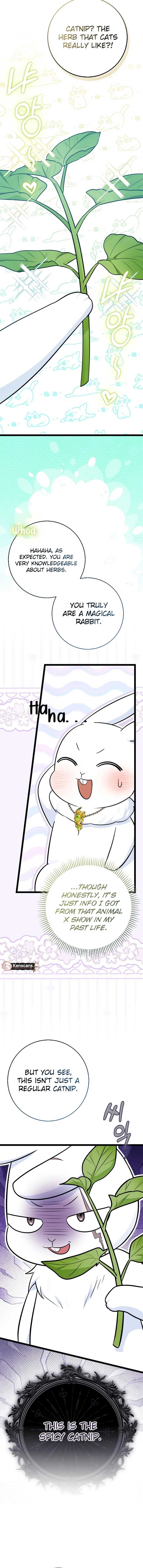 Anyone Can See It’s A Beast Chapter 31 page 18