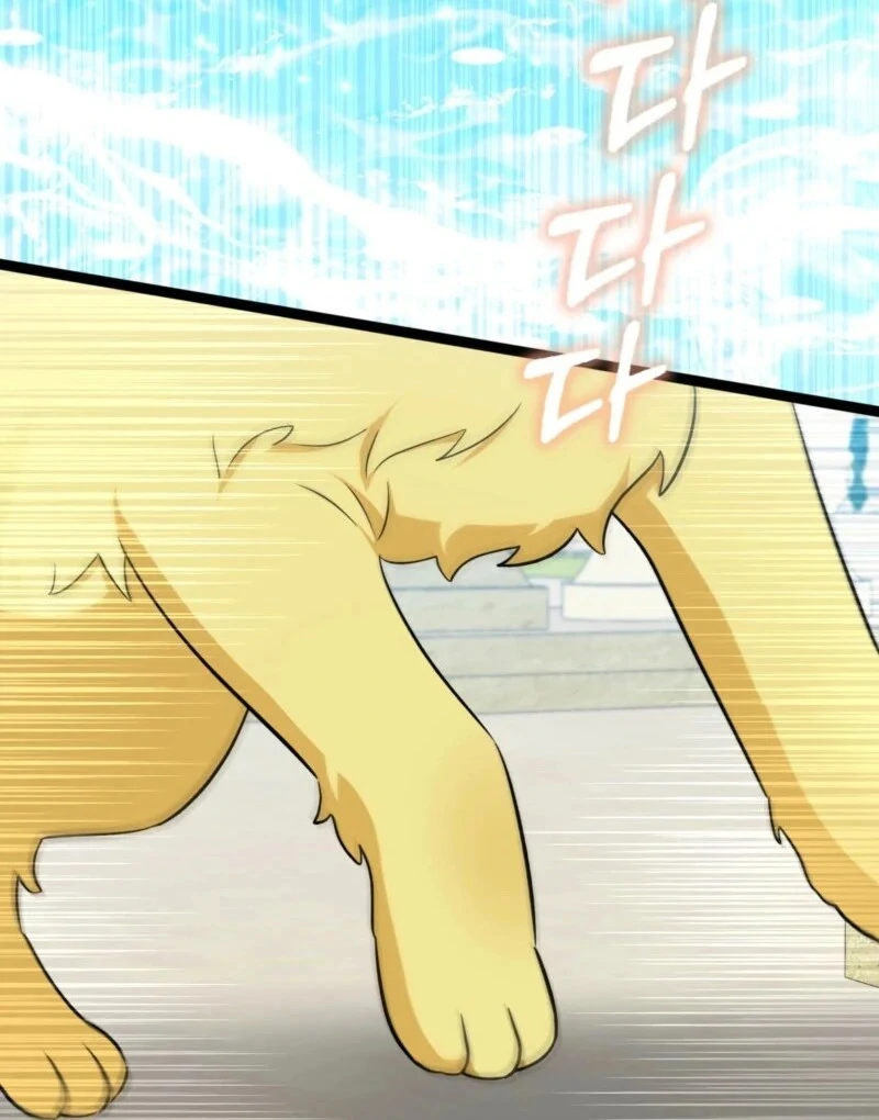 Anyone Can See It’s A Beast Chapter 37 page 15