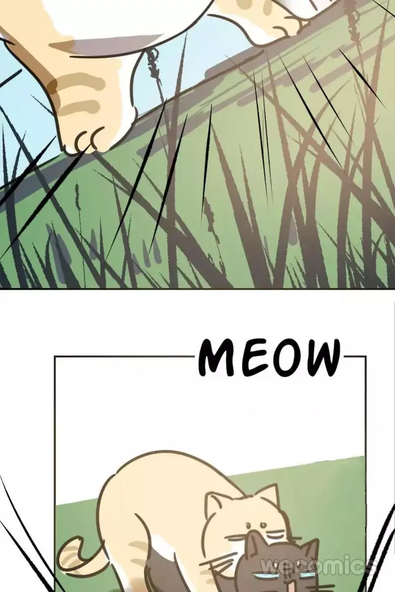 Aoao Waiting To Be Eaten (caught!!) Chapter 25 page 46