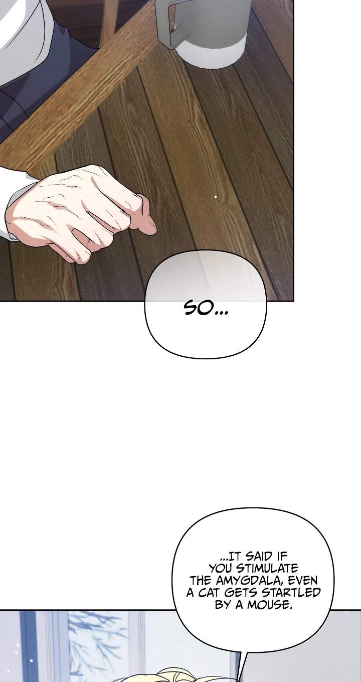 Arcadia Service - Kaishi kara San Nen Imasara Hajimeru Kasou Sekai Kouryaku Chapter 18 page 52