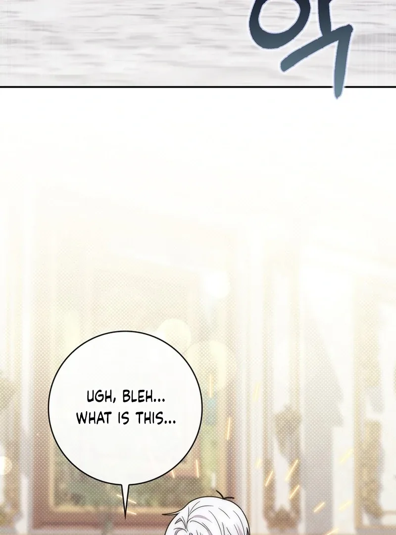 Arelyn Is Sick and Tired Chapter 27 page 4