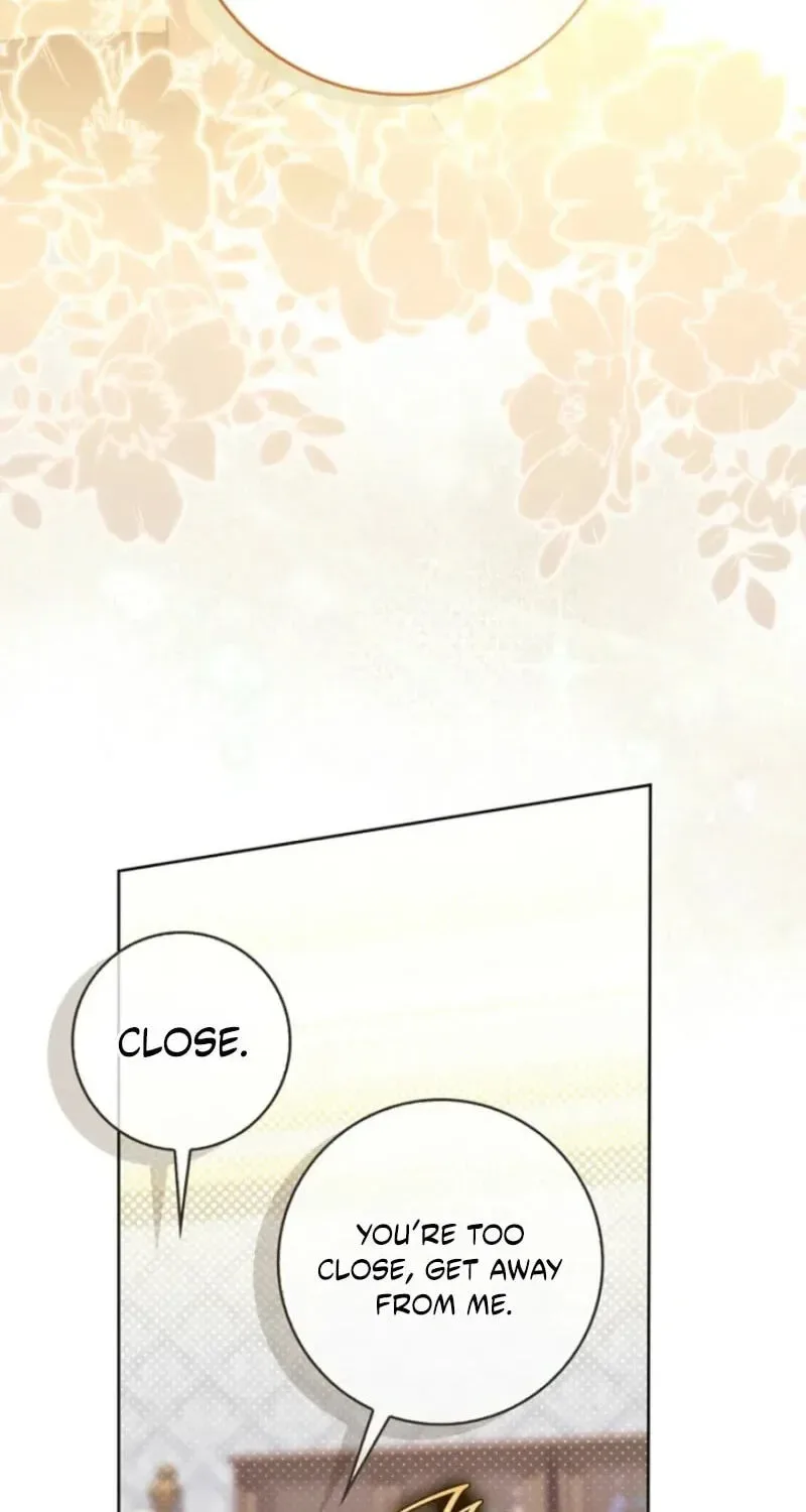 Arelyn Is Sick and Tired Chapter 74 page 66