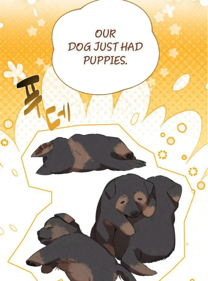At the Place Where the Golden Rose Broke Chapter 13 page 102