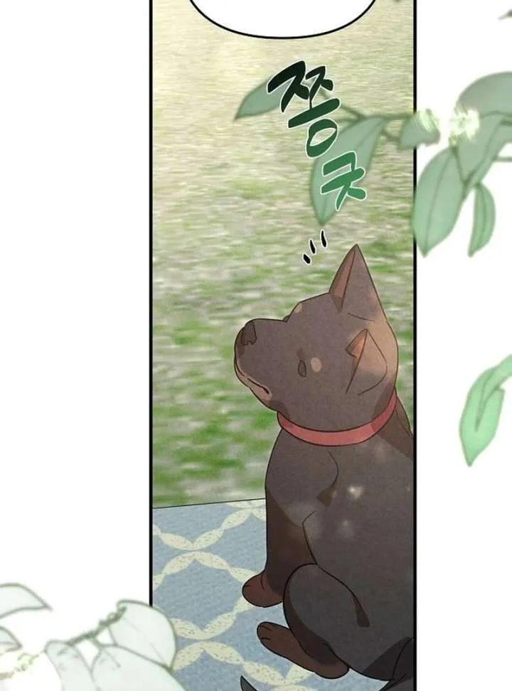 At the Place Where the Golden Rose Broke Chapter 25 page 75