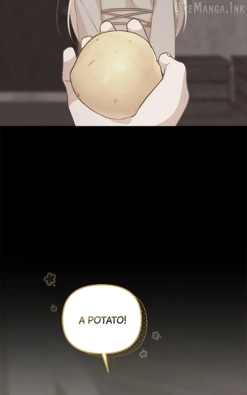 At the Place Where the Golden Rose Broke Chapter 43 page 3