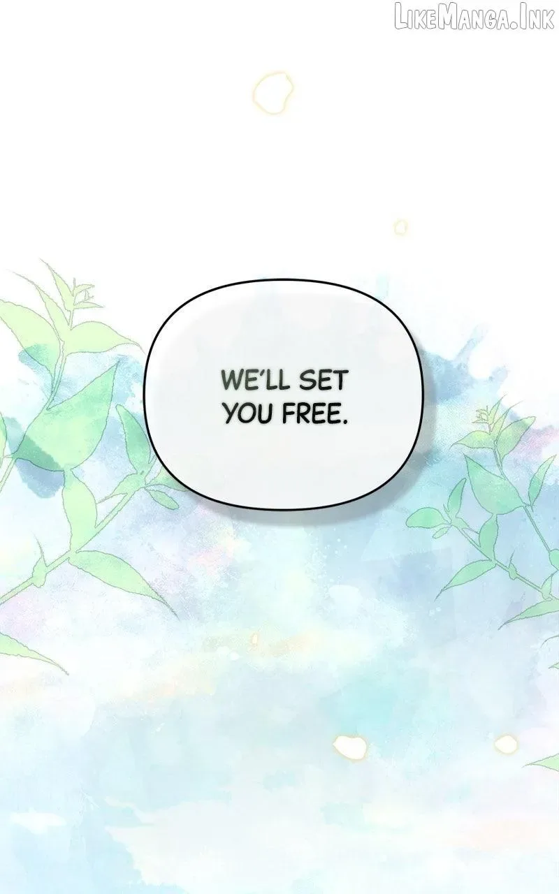 At the Place Where the Golden Rose Broke Chapter 47 page 1