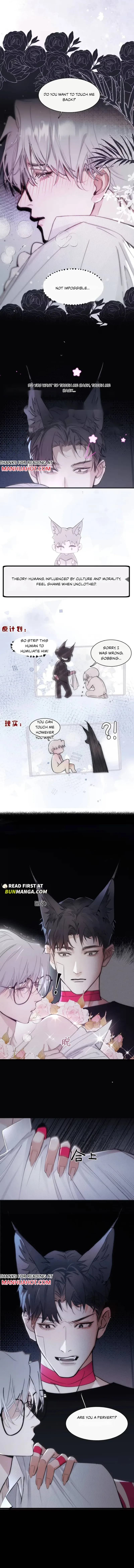 Bait For Returning to The Cage Chapter 2 page 4