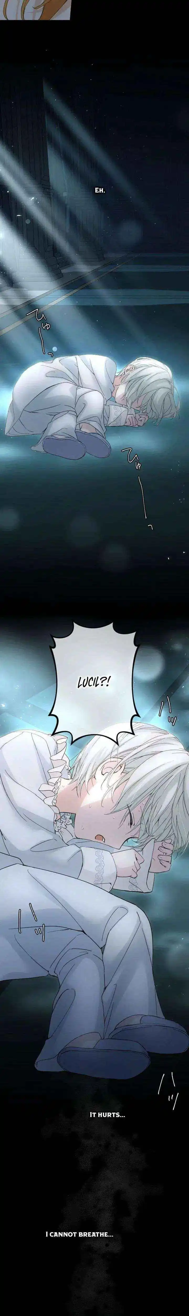 Became part of the family with the four brothers of the ducal Chapter 3 page 41