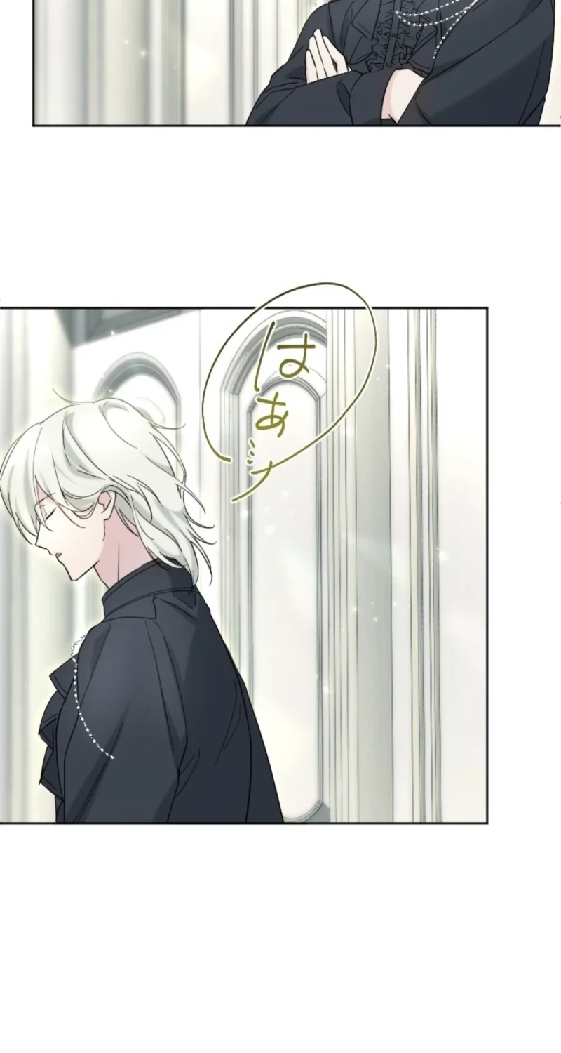 Became part of the family with the four brothers of the ducal Chapter 37 page 39