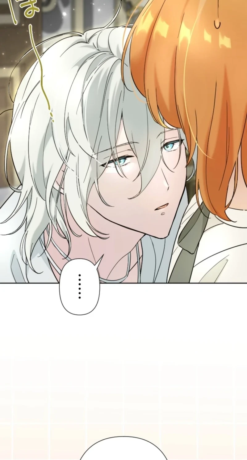 Became part of the family with the four brothers of the ducal Chapter 39 page 56