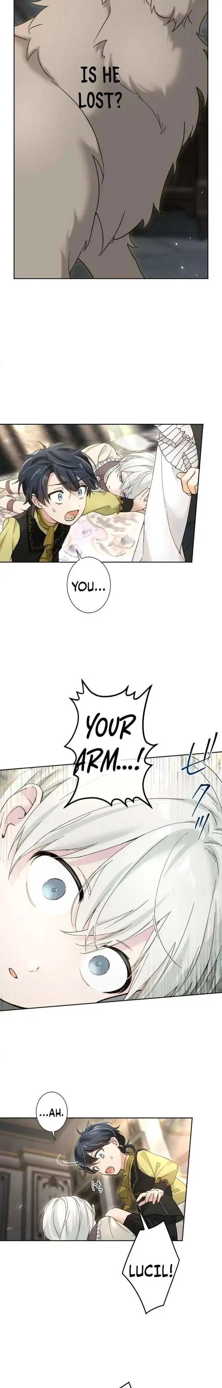 Became part of the family with the four brothers of the ducal Chapter 5 page 8
