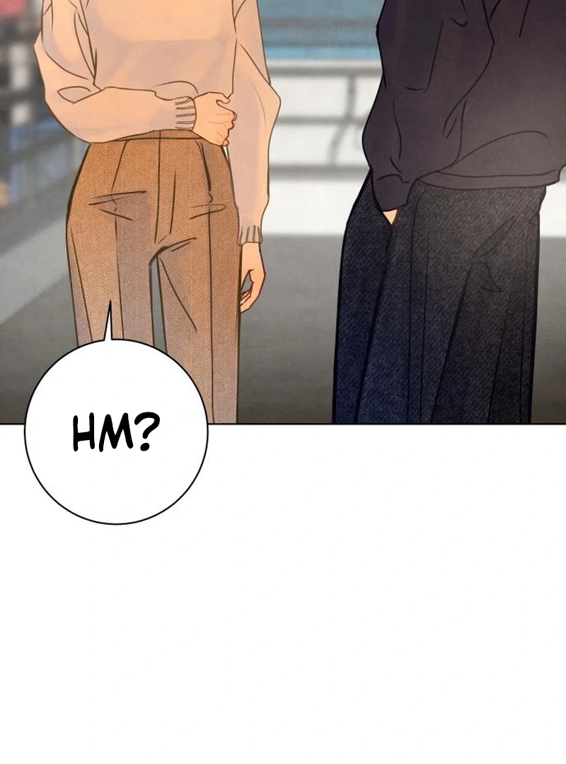 Before The grapes Ripen Chapter 13 page 95