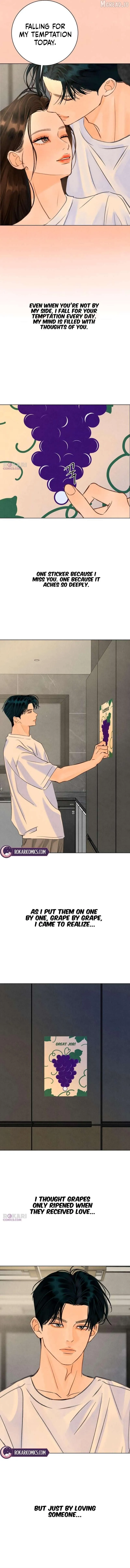 Before The grapes Ripen Chapter 42 page 6