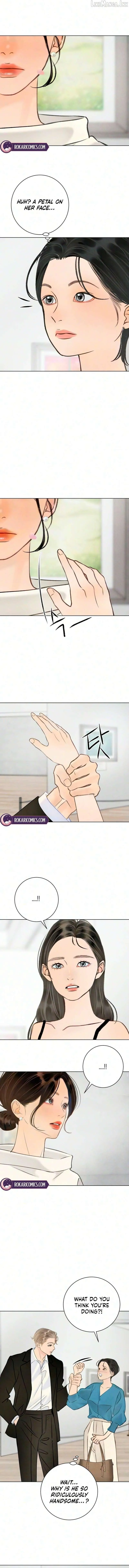 Before The grapes Ripen Chapter 52 page 13