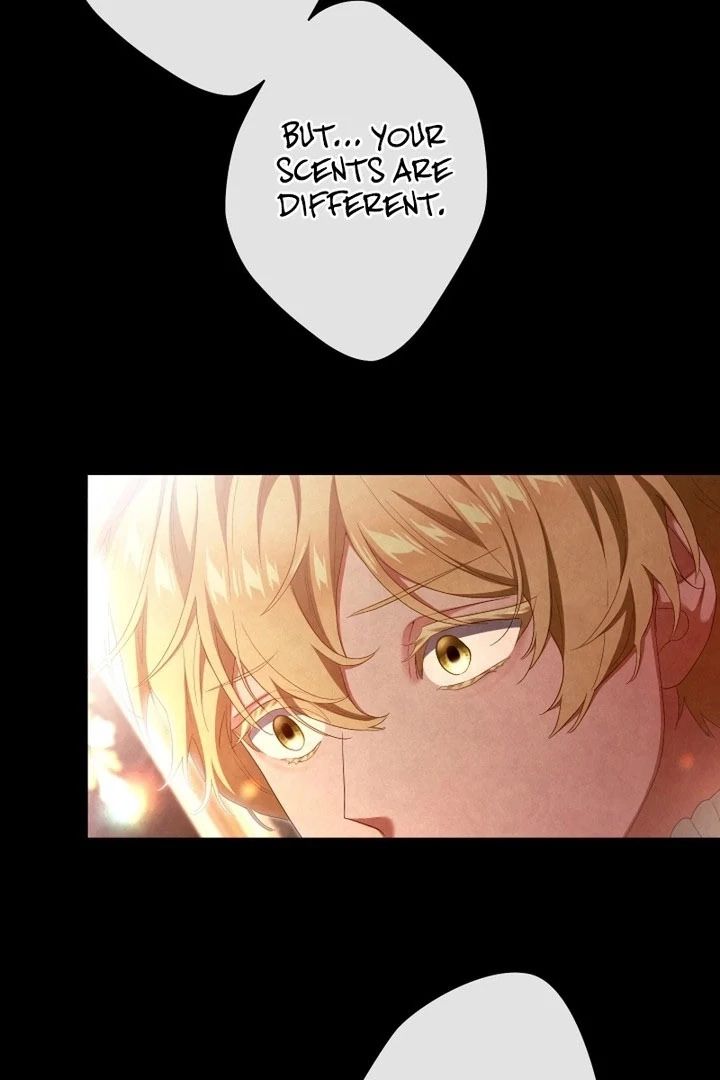 Behold The Perfect Villainess Chapter 28 page 33
