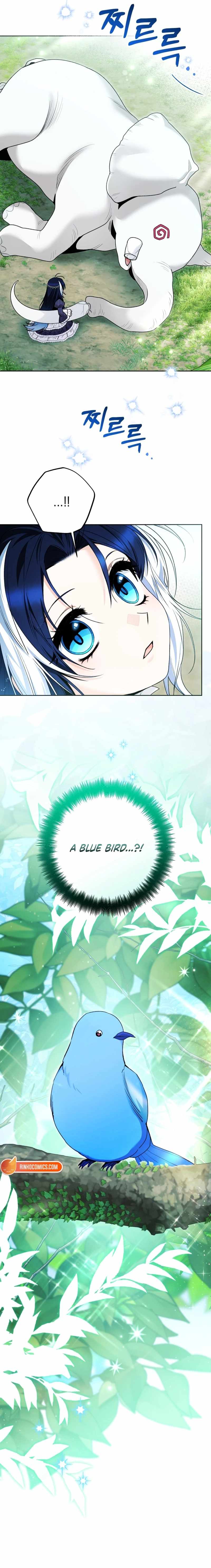 Black Killer Whale Baby Chapter 104 page 5