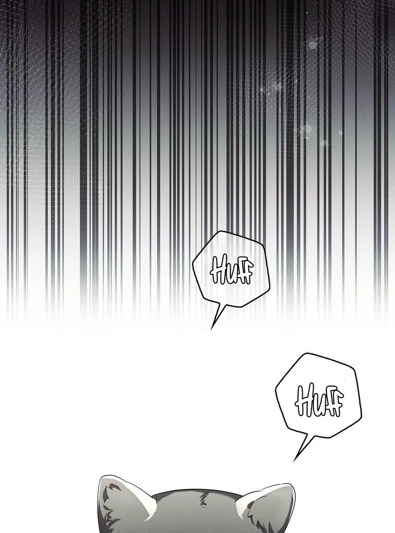Blood Poker Chapter 15 page 72